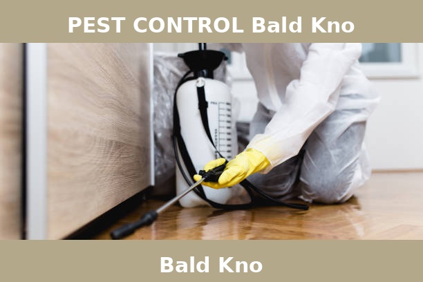 PEST CONTROL Bald Kno